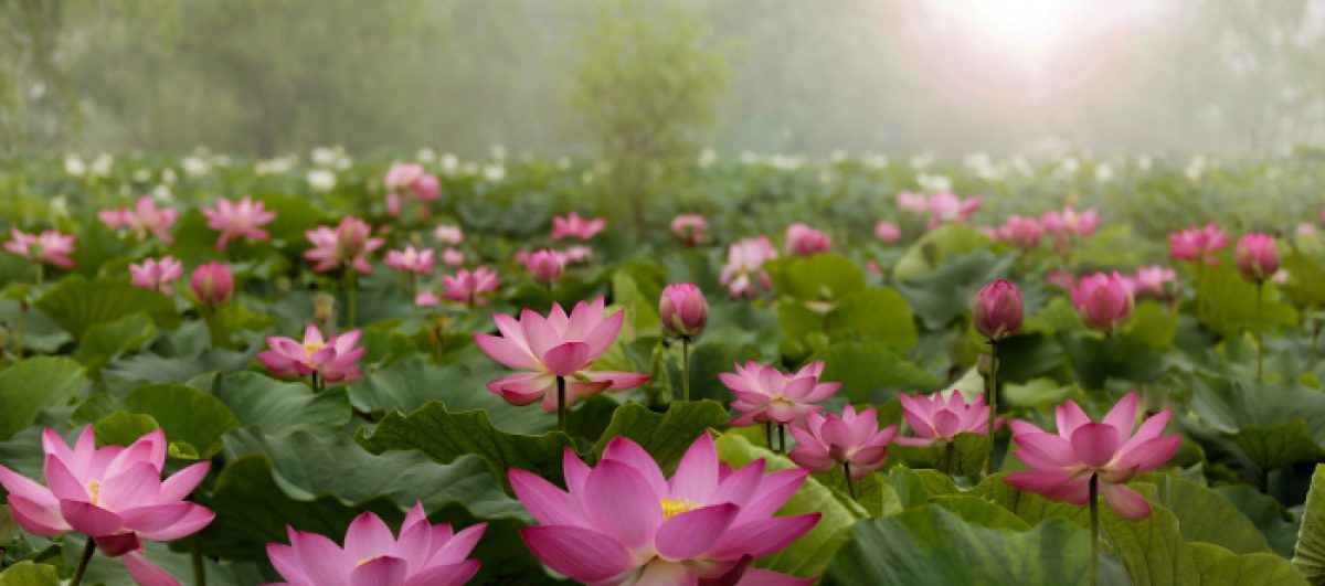 ConversationSangha.org